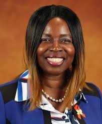 Template Instructions and Guidelines