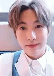 The group is divided into several detailed groups. Huang Renjun Nct Dream Gif Huangrenjun Nctdream Peacesign Discover Share Gifs