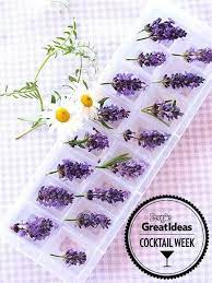Protected Blog Log In Flower Ice Flavored Ice Cubes Flower Ice Cubes