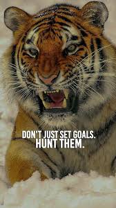 Don T Just Set Goals Hunt Them Tiger Quotes Motivational Words Focus Quotes