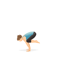 Lotus position or padmasana (sanskrit: Yoga Pose Crane Pocket Yoga