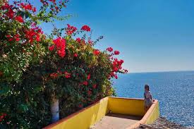 Puerto escondido is a small port and tourist center in the municipality of san pedro mixtepec distrito 22 in the mexican state of oaxaca. Puerto Escondido Alle Infos Fur Deinen Urlaub An Der Pazifikkuste Mexikos