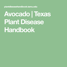 Black And Decker Plant In Texas Avocado Texas Plant Disease Handbook With Images Texas Plants Plant Diseases Avocado Plant