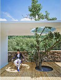 延庆 画框里 孔雀 民宿酒店 patio umbrella outdoor patio