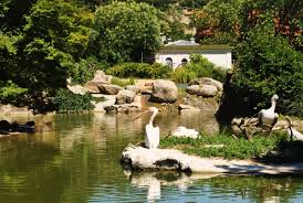 Bonjour, devant venir à lyon après demain, je cherche désespérément un plan du parc de la tête d'or qui m'indique, au moins, l . Parc De La Tete D Or Lyon City Free Travel Europe Travel