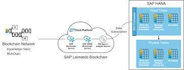 Innovation's advocates, with their loud statements and big words. Sap Hana Blockchain A Technical Introduction Sap Blogs