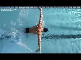 Master The Butterfly The Most Notoriously Difficult Swimming Stroke With All Four Of Speedo S Superb Trai Swimming Workout Swimming Tips Competitive Swimming