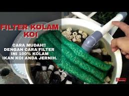 Memelihara ikan koi menjadi nah berbicara tentang kolam koi, ada berbagai tipe kolam bergantung dari jenis koi itu sendiri. Mudah Kolam Ikan Koi Jernih Banget Pake Filter Buatan Sendiri Youtube Kolam Ikan Kolam Ikan Koi Ikan Koi