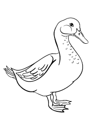Free Goose Coloring Page Coloring Pages Free Coloring Pages Animal Coloring Pages
