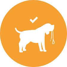 Incredibly, these dogs can reach speeds of over 40 miles per hour! Which Dog Should I Get Dog Breed Selector Tool Purina