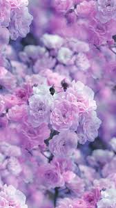 Nature Wallpaper Iphone Purple Flowers Wallpaper Purple Wallpaper Flower Wallpaper