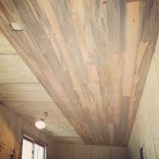 I've had some beetle kill pine drying in my garage for the last 7 years and this week i decided to use it to build a tele. Beautiful Blue Stain Beetle Kill Pine Ceiling And Walls The Tiny Project