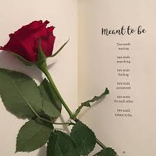 Pin By Cara Beatrice On Arabic Jokes Love Poem For Her True Love Poems Love Poems For Him
