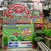 Dapur dan ruang tamu apartment carnation park tanah rata cameron highlands. 1