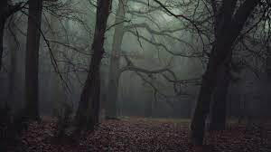 Background Images In Tim Burton S Legend Of Sleepy Hollow Sleepy Hollow By Kriskeleris On Deviantart Sleepy Hollow Forest Photography Legend Of Sleepy Hollow