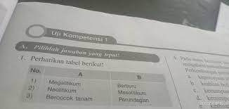 Periodisasi secara arkeologis dan perkembangan kehidupan. Masa Yang Termasuk Periodisasi Masa Praaksara Berdasarkan Aspek Sosial Budaya Ditunjukkan Oleh Brainly Co Id