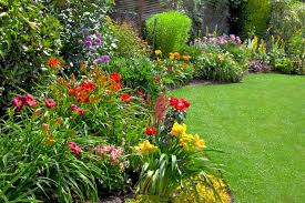 Voici une liste de plantes à fleurs, avec de nombreux conseils pour les semer, les cultiver et les entretenir. Conseils De Paysagiste Un Jardin Fleuri M6 Deco Fr