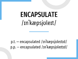 To encapsulate particular facts or ideas means to represent all their most important. Conjugation Encapsulate Verb In All Tenses And Forms Conjugate In Past Present And Future