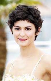 If you are dying your hair prior to styling ensure to use a hair mask to keep your hair strengthened throughout the process. The Best Curly Hairstyles For Round Faces Thick Hair Styles Curly Pixie Hairstyles Short Hairstyles For Thick Hair