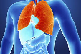 افضل مشروبات لعلاج الكحة : Synecod Syrup For Children ØªØ¹Ù„ÙŠÙ…Ø§Øª Ù„Ø§Ø³ØªØ®Ø¯Ø§Ù… Ø£Ø¯ÙˆÙŠØ© Ø§Ù„Ø³Ø¹Ø§Ù„ Ù„Ù„Ø£Ø·ÙØ§Ù„ ÙˆØ§Ù„Ù…Ø±Ø§Ø¬Ø¹Ø§Øª ÙˆØ§Ù„Ø£Ø³Ø¹Ø§Ø±