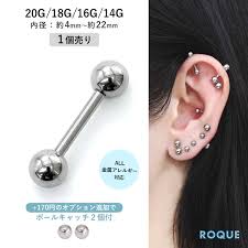 ストレート バーベル 20g