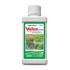 Valux 500EC