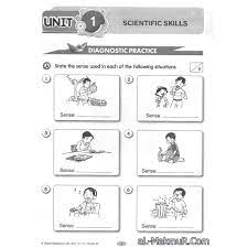 World of science & technology. Myb Buku Latihan Module Dlp Science Year 1 Nusamas Shopee Malaysia