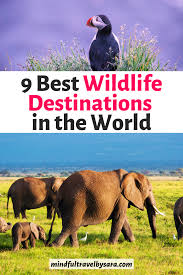 9 Best Wildlife Holidays In The World I Top Places To See Wildlife Wildlife Vacations Wildlife Travel Animal Photography Wildlife