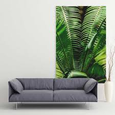 Maybe you would like to learn more about one of these? Fern Plant Canvas Wall Art Decor Color Photography Antaresportfolio Com