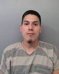 Operation GOTCHA March 2019