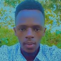 500+ "Wallén" profiles