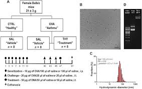 Xxv world congress on rehabilitation in medicine and immunorehabilitation. Nanoparticle Based Thymulin Gene Therapy Therapeutically Reverses Key Pathology Of Experimental Allergic Asthma Science Advances