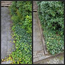 Eingang Frei Bitte Unkraut Schnitt Garten Gartner Overath Garten Anlegen Garten Unkraut