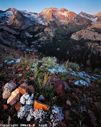 Phlox Cover The Rocky Ridgeline Overlooking Idaho S Pioneermountains In Central Idaho Visitidaho Org Idaho Scenery Pictures Great River