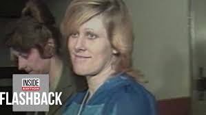 Disturbing true crime series- there's something wrong with aunt Diane