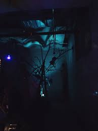 Repurposed, Not Replaced — Bronx Narratives