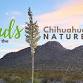 Volunteer Day - Friends of the Chihuahuan Desert..... event in Las Cruces, NM