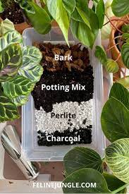 Best Potting Soil Mix For Indoor Plants Easy Diy Soil Mix In 2021 Indoor Plants Easy Soil Different Plants