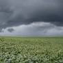 El Niño Alters October Weather Patterns Across Brazil in 2026