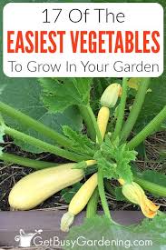 These are my seven top vegetables that are easy to grow in hot summer or warm climates like the subtropics or tropics.don't let the heat stop you from. A3bqk Lapw7 Km