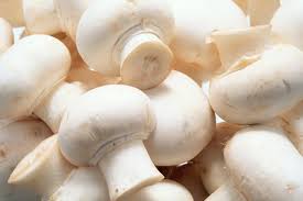 Image result for mushroom