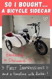 Image result for bicycle sidecar