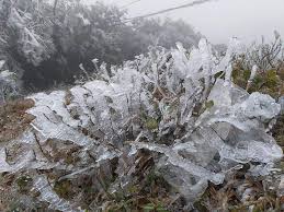 Cập nhật dự báo thời tiết miền bắc có rét hại dưới 0 độ c, khả năng xuất hiện mưa tuyết. Dá»± Bao Thá»i Tiáº¿t Ä'em Nay Va Ngay Mai 11 12 1 Báº¯c Bá»™ Báº¯c Trung Bá»™ Ret Ä'áº­m Ret Háº¡i TrÆ°a Chiá»u Há»­ng Náº¯ng Nam Bá»™ Ngay Náº¯ng Ha Ná»™i Ret Ä'áº­m 8 18 Ä'á»™