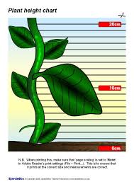 Childrens Height Chart Plant Sb1701 Sparklebox