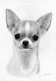 Pin De Stephanie Anderson En Chihuahua Retratos De Perros Perros En Caricatura Dibujos De Perros