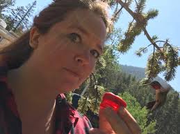 Broadtail diving behavior and mating habits