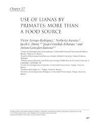 Image result for Ancylobothrys amoena