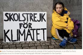 Pin By Cate Ginsberg On The Birds In 2020 Climate Change Climate Change Poster School Strike