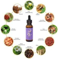 Бад terry naturally hair renew formula millet seed oil with biotin. Techn Natural Hair Restore Biotin Hair Growth Oil Hair Oil Price In India Buy Techn Natural Hair Restore Biotin Hair Growth Oil Hair Oil Online In India Reviews Ratings Features