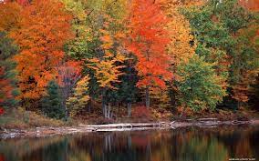 Otono Autumn Landscape Landscape Hiawatha National Forest